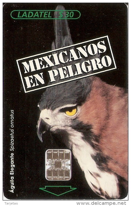 TARJETA DE MEXICO DE UN AGUILA ELEGANTE   (BIRD-PAJARO-EAGLE) - Aquile & Rapaci Diurni