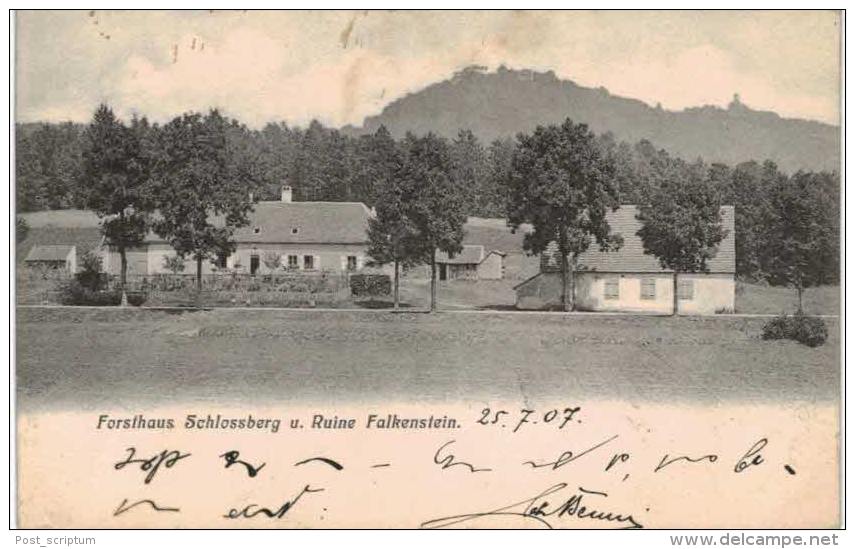 Maison Forestière Schlossberg Et Ruine Falkenstein - Other & Unclassified