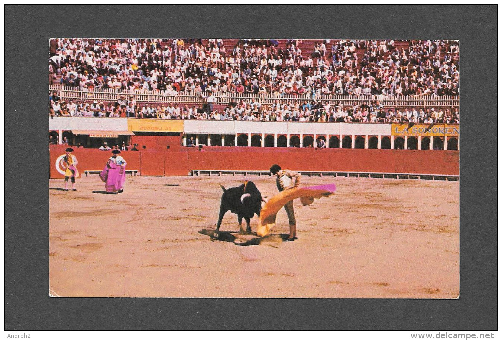 CORRIDA - TIJUANA MEXICO - BULL FIGHT SCENE - PHOTO ENRIQUE ASIN - Corrida