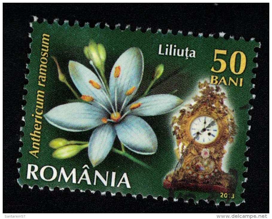 Roumanie 2013 Oblitéré Rond Used Fleur Anthericum Ramosum Phalangère Ramifiée - Used Stamps