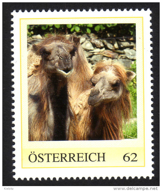 ÖSTERREICH 2011 ** Trampeltier / Camelus Ferus - PM Personalized Stamp MNH - Timbres Personnalisés