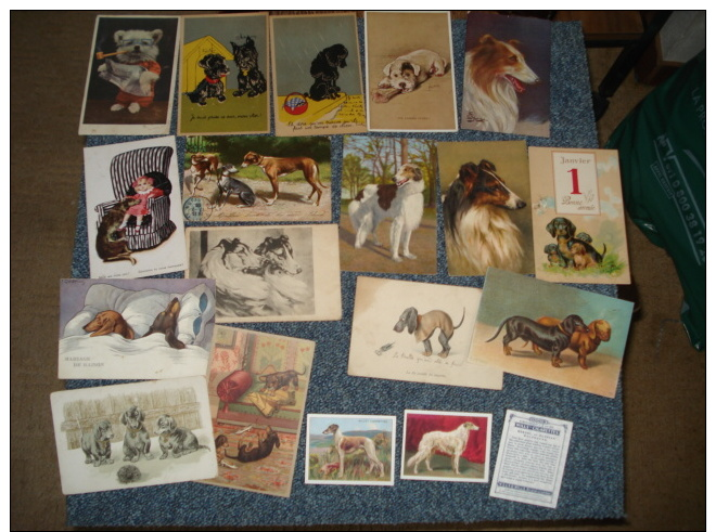 Beau Lot De  57  Cpa , Theme Chiens  Illustration Et  Chiens  Humanises - 5 - 99 Karten