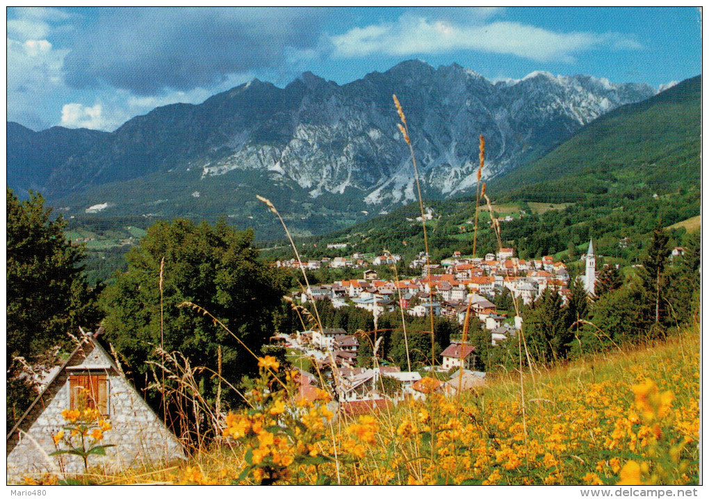 ALPAGO(BL)     TAMBRE Mt 922  PANORAMA VERSO IL GRUPPO MESSER    (VIAGA) - Altri & Non Classificati