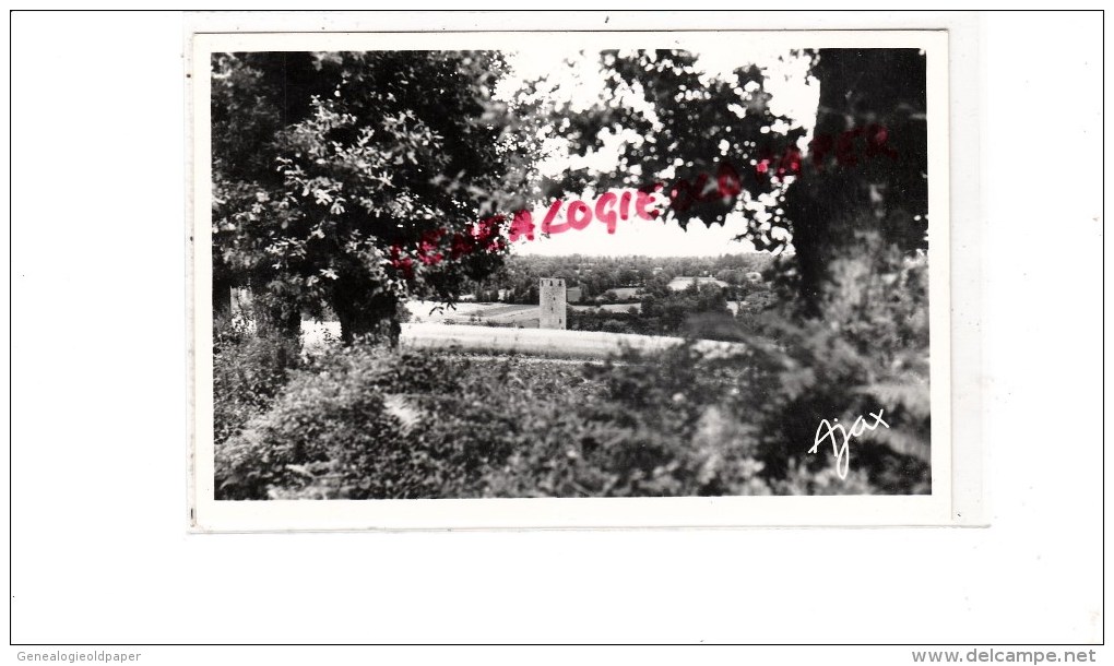 87 - BUSSIERE POITEVINE - COTE AU CHAPT  LA TOUR   CARTE PHOTO - Bussiere Poitevine