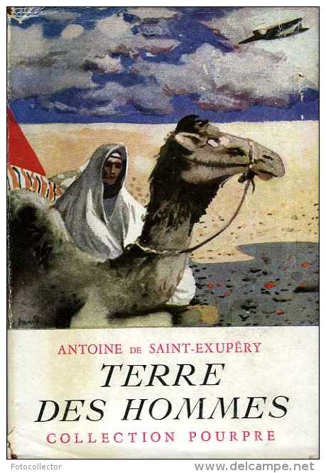 Jeunesse Terre Des Hommes Par Antoine De Saint Exupéry - Collection Pourpre