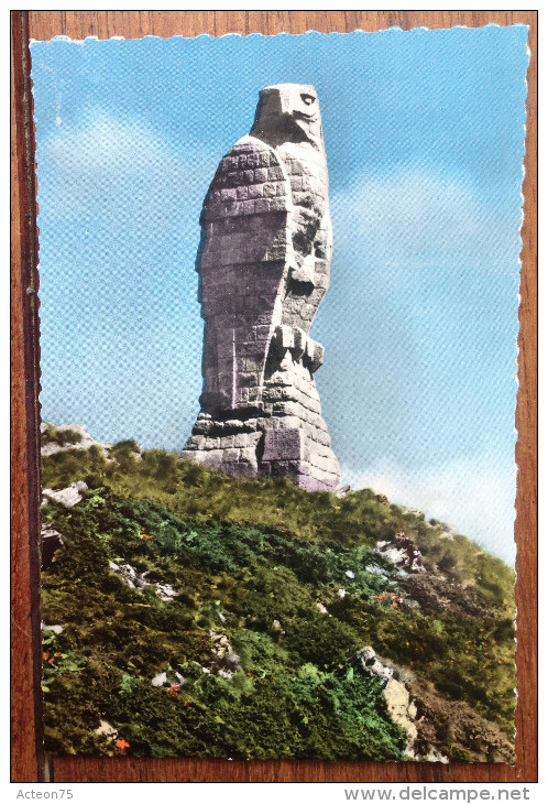 3 Cartes Postales - Suisse - Simplon (col / Monument / Hôtel Bellevue) - Années 1960 - Bellevue