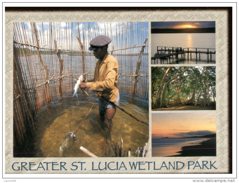 (PH 777) St Lucia Wetland Park (fisherman) - Sainte-Lucie