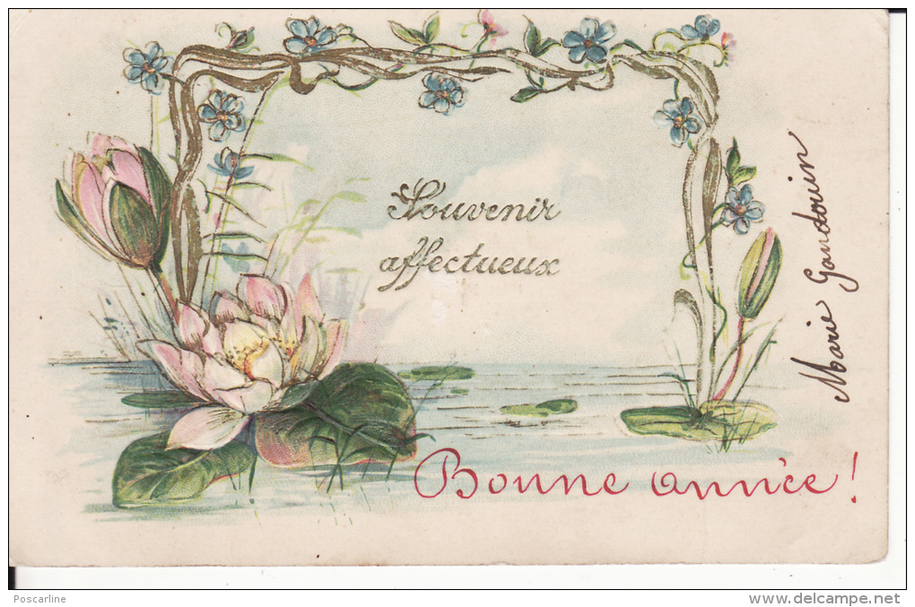 Souvenir Affectueux, Nénuphar, Lotus, Gaufrée,, 2 Scans - Autres & Non Classés