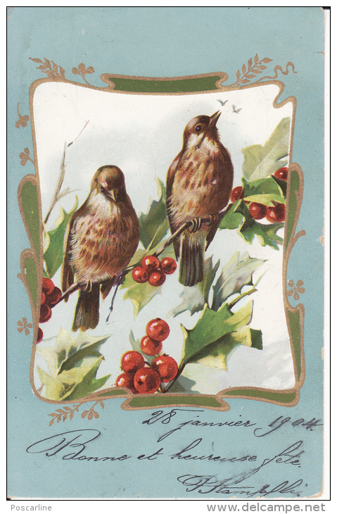 2 Jolis Oiseaux, Houx, Style Art Nouveau, 1904 ,2 Scans - Autres & Non Classés