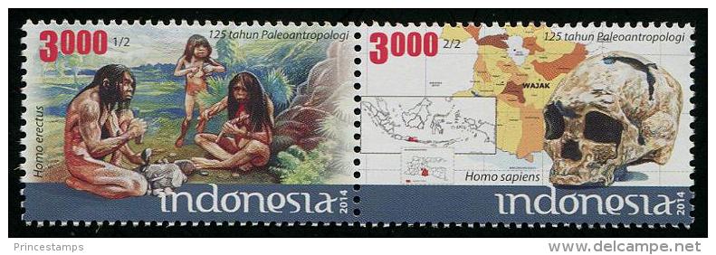 Indonesia (2014) - Set -  /  Prehistory - Archaeologie - Prehistoric - Man - Homme - Skull - Preistoria