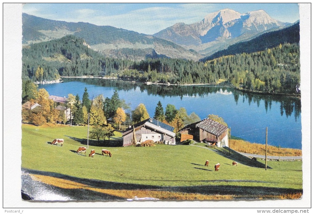 Germany   Hintersee Bei Berchtesgaden Mit Göll Und Brett  Stamp 1963     A 31 - Berchtesgaden