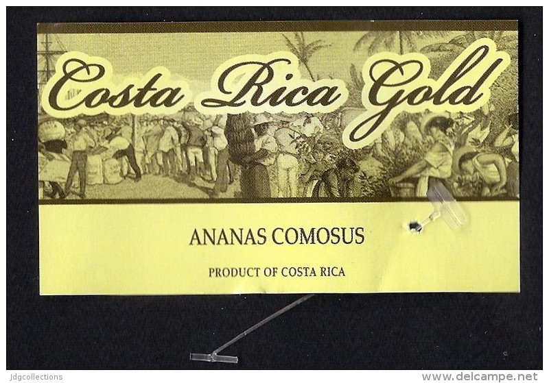 # PINEAPPLE COSTA RICA GOLD Fruit Tag Balise Etiqueta Anhanger Ananas Pina Costa Rica - Fruits & Vegetables