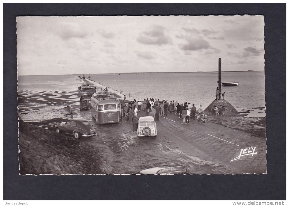 Vente Immediate à Prix Fixe - Ile De Noirmoutier Passage Du Gois - Attendant La Mer Basse ( Autobus Autocar Peugeot 203 - Ile De Noirmoutier