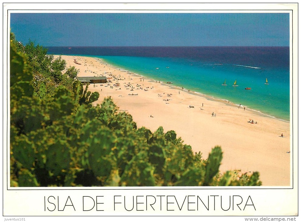 CPSM Isla De Fuerteventura   L1911 - Fuerteventura