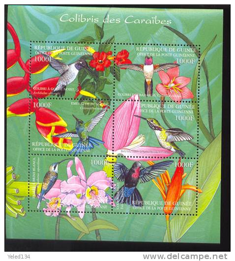 GUINEE   2043  MINT NEVER HINGED MINI SHEET OF BIRDS - Autres & Non Classés