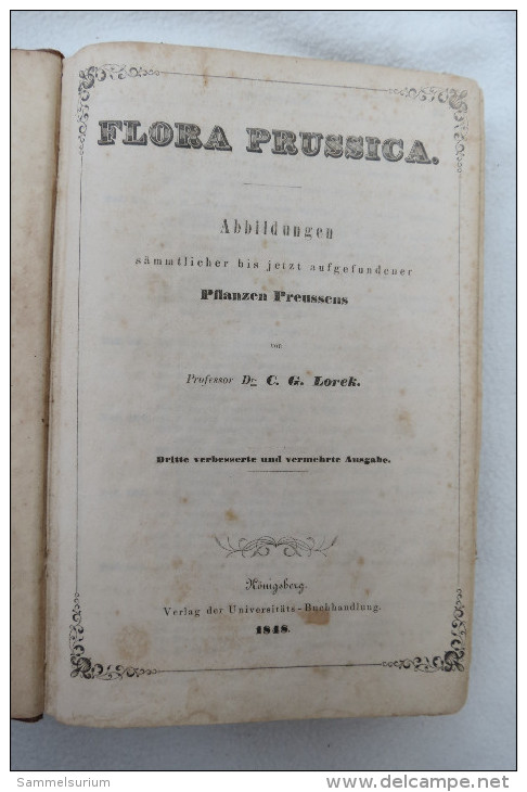 Prof.Dr.C.G.Lorek "Flora Prussica" Mit Abbildungen Sämmtlicher Bis Jetzt Aufgefundener Pflanzen Preussens Von 1848 - Nature