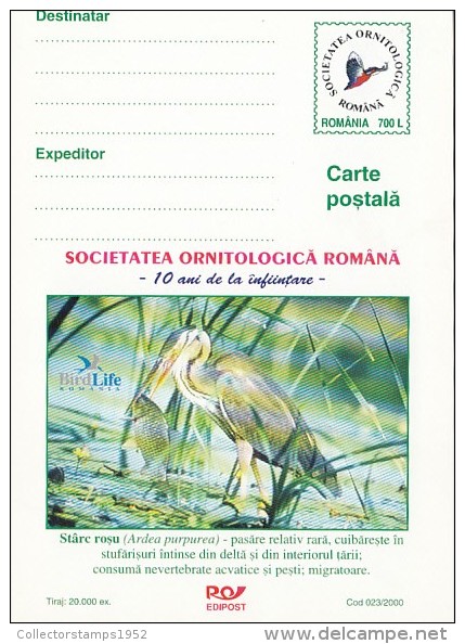 23921- BIRDS, PURPLE HERON, POSTCARD STATIONERY, 2000, ROMANIA - Pelicans