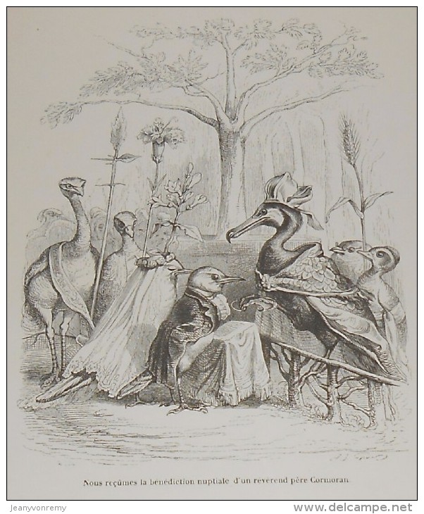 Grandville. "Scènes De La Vie Privée Et Publique Des Animaux". 1842. - Prenten & Gravure