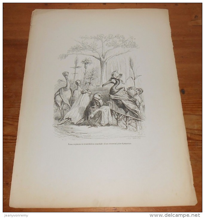 Grandville. "Scènes De La Vie Privée Et Publique Des Animaux". 1842. - Prenten & Gravure