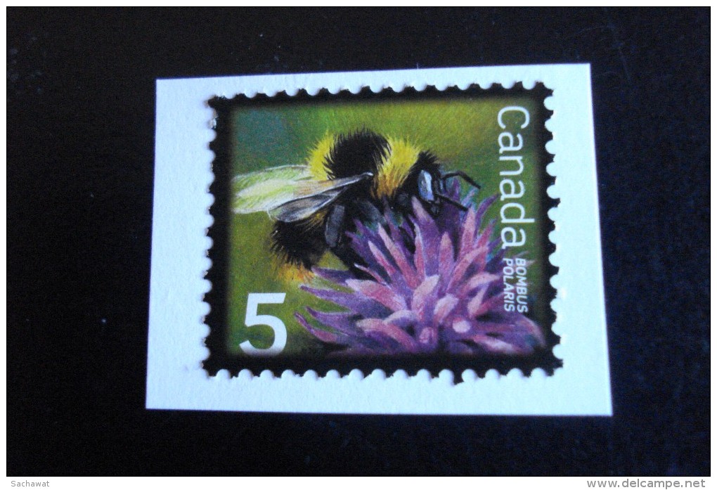 Canada - Bombus Polaris 5c - Y.T.   ?    - Oblitéré - Used - Gestempeld - Used Stamps