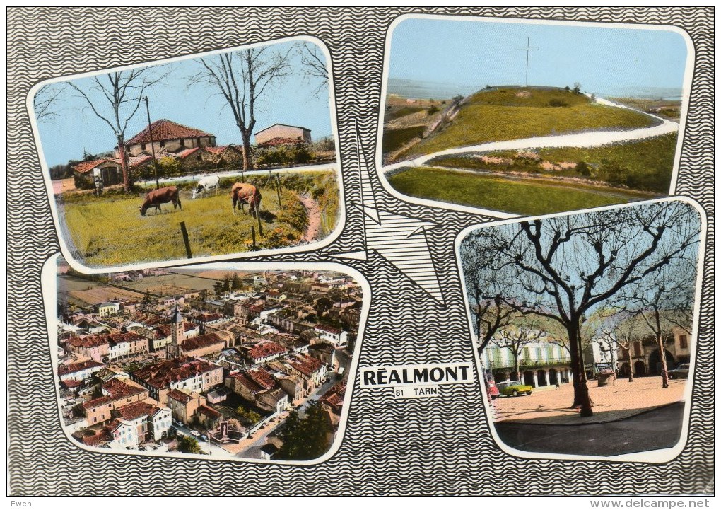 Réalmont. Multivues. - Realmont