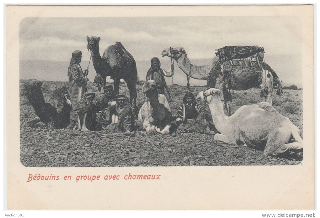 25595g  LIBAN - Bédouins En Groupe Avec Chameaux - Liban