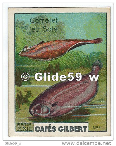 Chromo - Collection Cafés Gilbert - Carrelet Et Sole - N° 1 - Série XXIII - Thé & Café