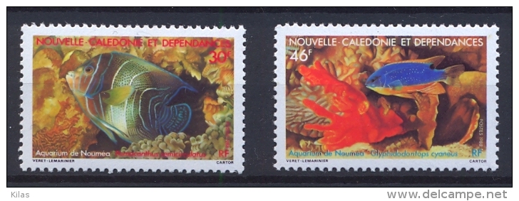 NEW CALEDONIA 1988 Fishes MNH - Nuevos