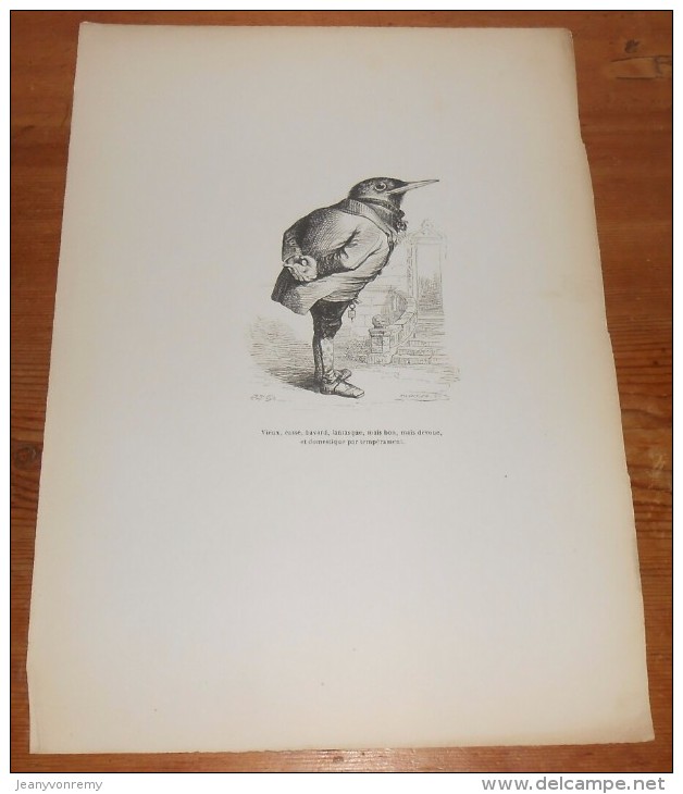 Grandville. "Scènes De La Vie Privée Et Publique Des Animaux". 1842. - Estampes & Gravures