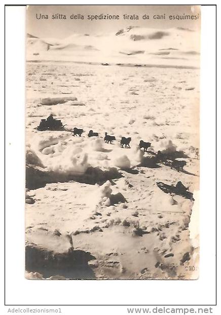 75115) Cartolina-spedizione Polare-una Slitta Della Spedizione Tirata Da Cani Esquimesi-nuova - Altri & Non Classificati