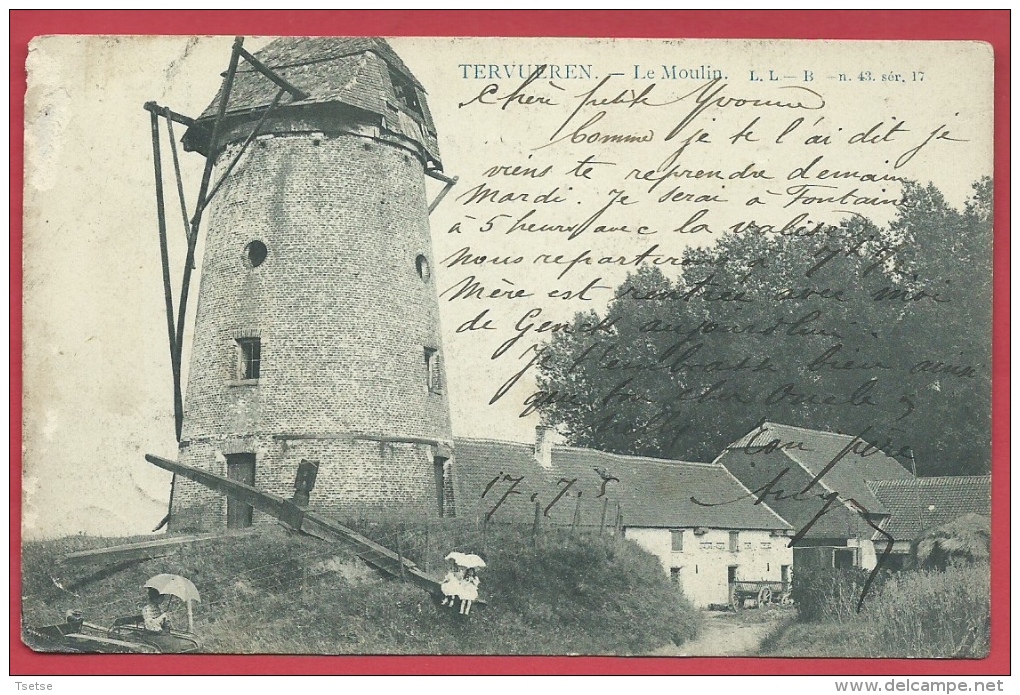 Tervuren - Windmolen / Le Moulin - 1905 ( Verso Zien ) - Tervuren