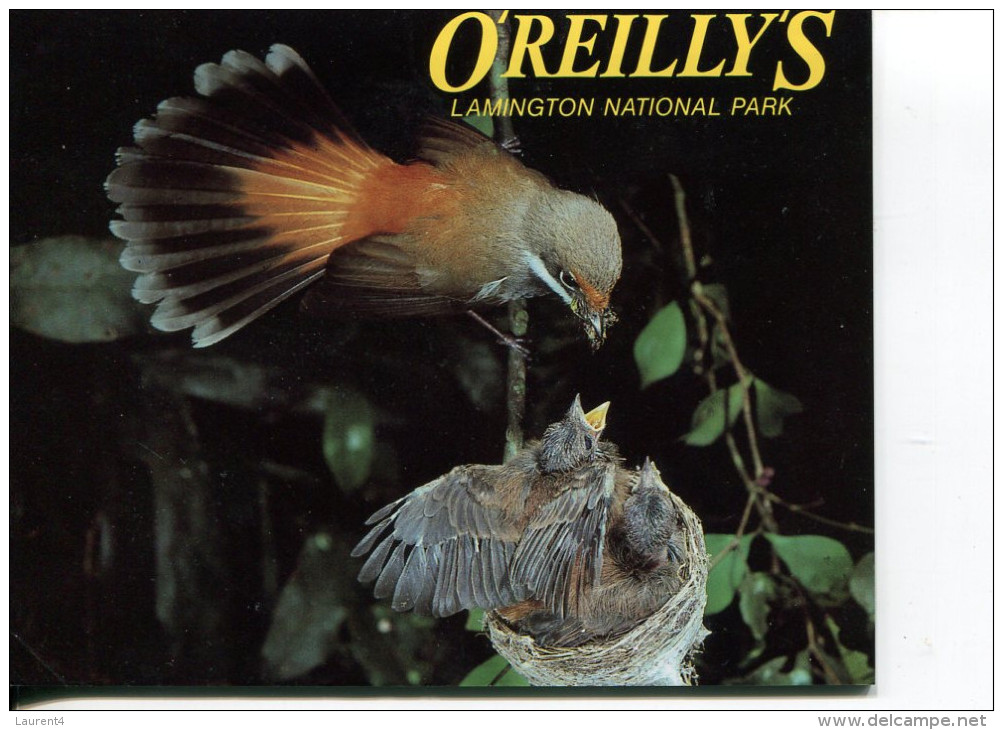 (Folder 54) Australia Postcard Folder - QLD - O'Reilly's - Atherton Tablelands