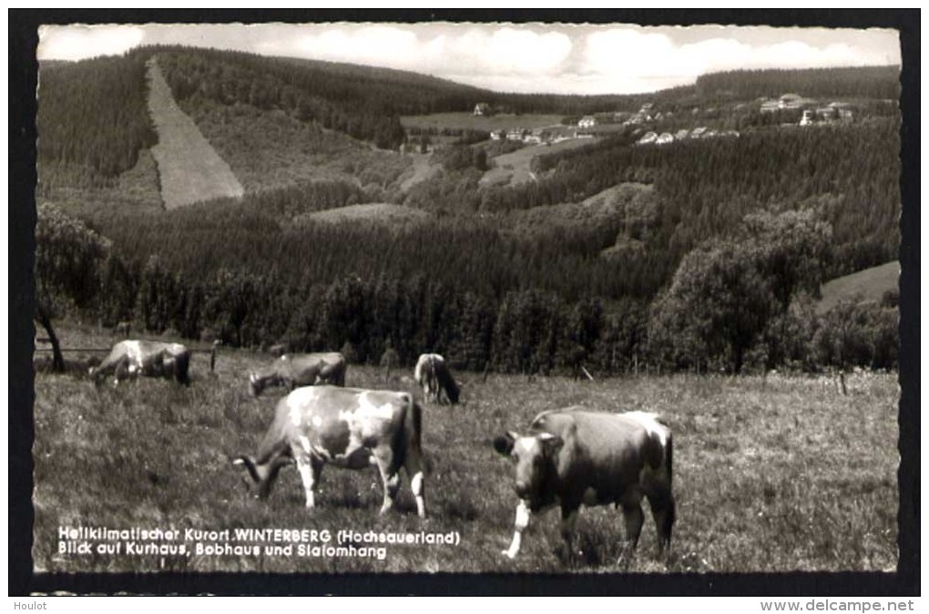 Schwarzweiß - Ansichtskarte  Kurort Winterberg Im Hochsauerland - Winterberg