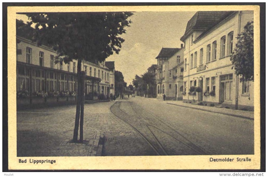 Alte Schwarzweiß Ansichtskarte Von Bad Lippspringe, Detmolder Straße, - Bad Lippspringe