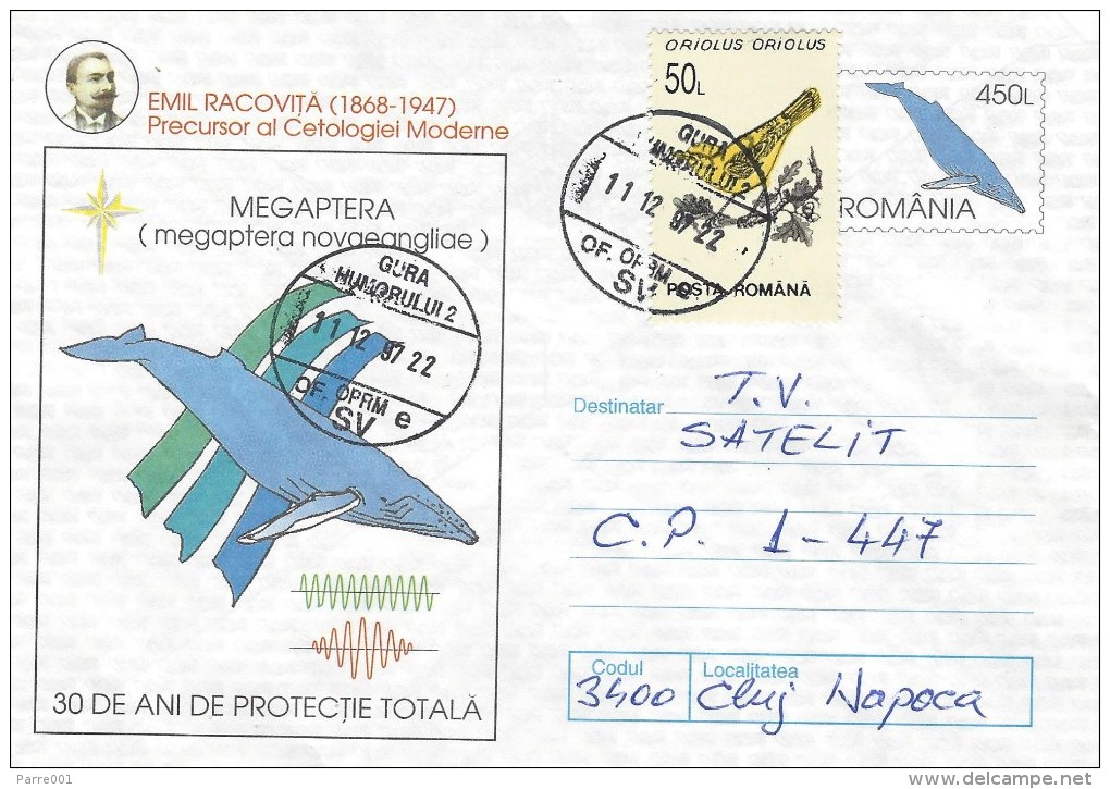 Rumania 1997 Gura Humpback Whale Megaptera Novaeangliae Bird Postal Stationary Cover - Whales