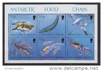 British Antarctic Territory 1994 Antarctic Food Chain M/s ** Mnh (23098) - Ongebruikt