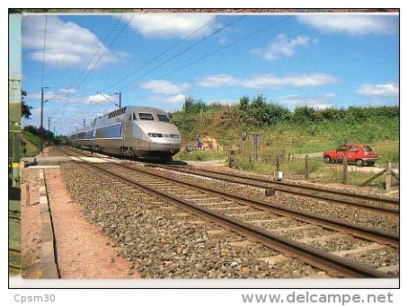 Cp Trains - 53 Mayenne - Rame TGV Vers La Chapelle-Anthenaise- Cp N° 68 - Le Genest Saint Isle