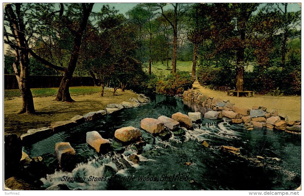 YORKS - SHEFFIELD - ENDCLIFFE WOODS - STEPPING STONES Ys62 - Sheffield