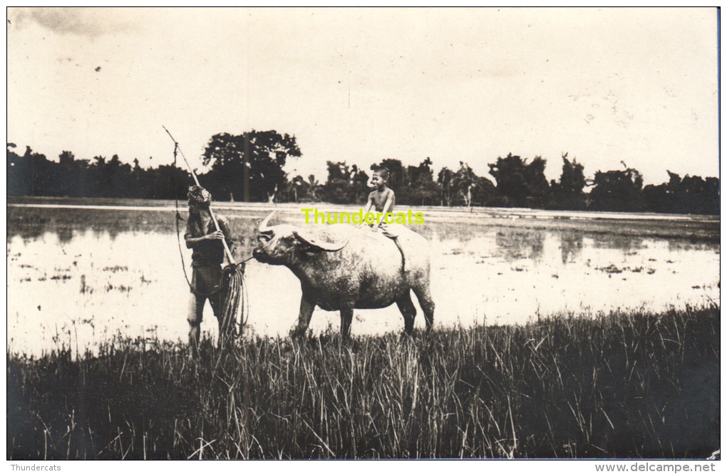 RPPC REAL PHOTO POSTCARD MALAYSIA MALEISIE CARTE DE PHOTO - Malaysia