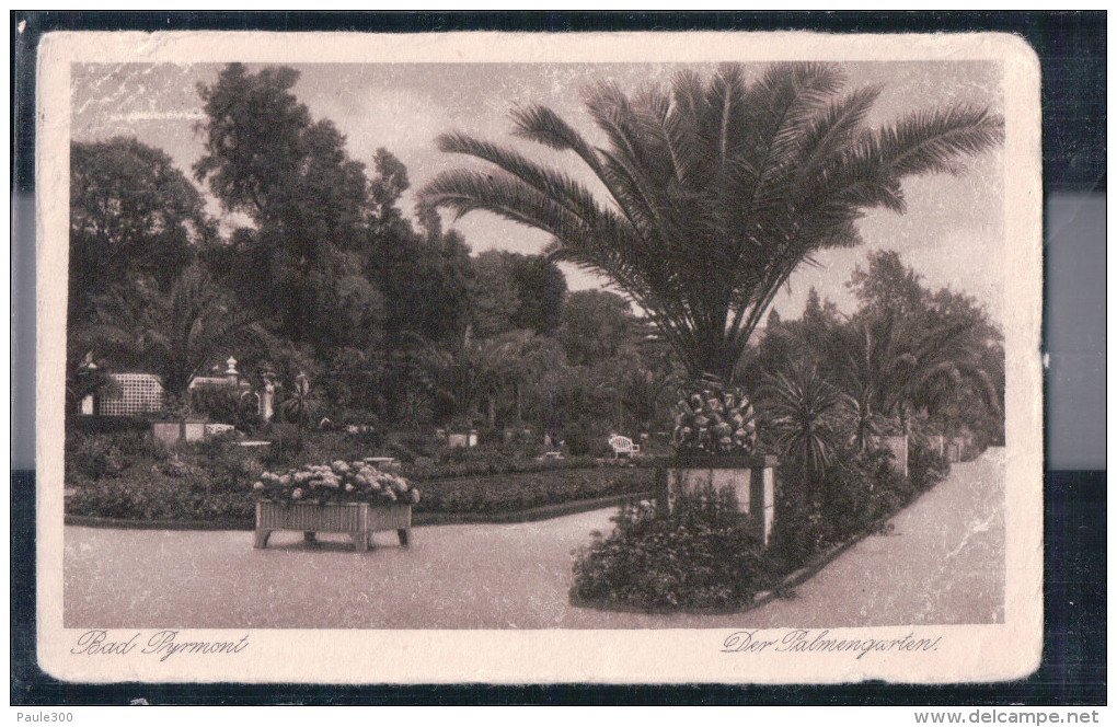 Bad Pyrmont - Der Palmengarten - Bad Pyrmont