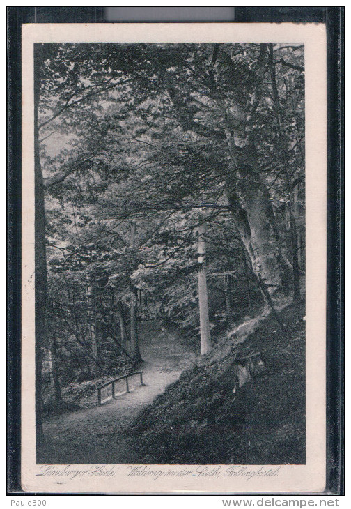 Fallingbostel - Waldweg In Der Lieth - Lüneburger Heide - Fallingbostel