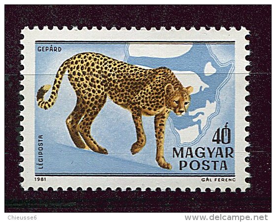 (CL 7 - P21) Hongrie ** PA N° 436 ( Ref. Michel Au Dos) - Guépard - - Unused Stamps