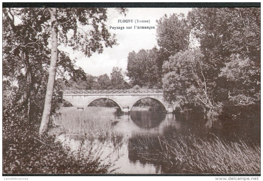 89, FLOGNY, PAYSAGE SUR L'ARMANCON - Flogny La Chapelle