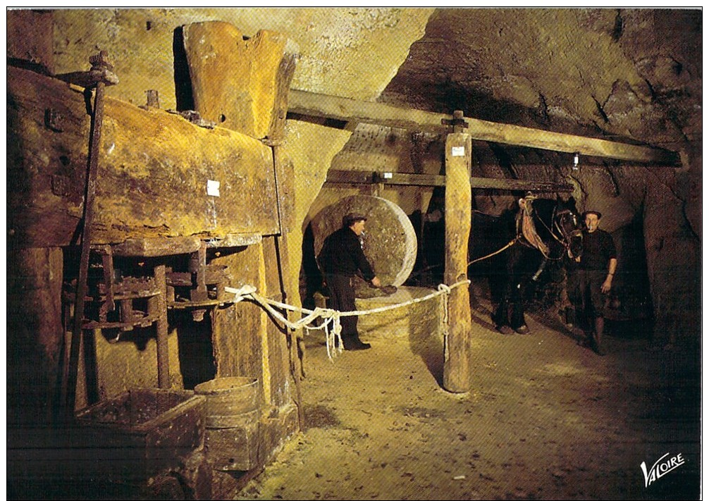 (F250) - ENV. DE DOUE-LA-FONTAINE, VILLAGE TROGLODYTE DE ROCHEMENIER-LOURESSE, PRESSOIR A HUILE - Doue La Fontaine