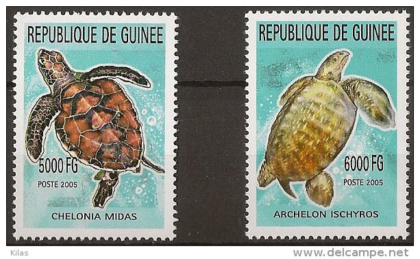 GUINEA, REPUBLIC Turtles - Tortugas