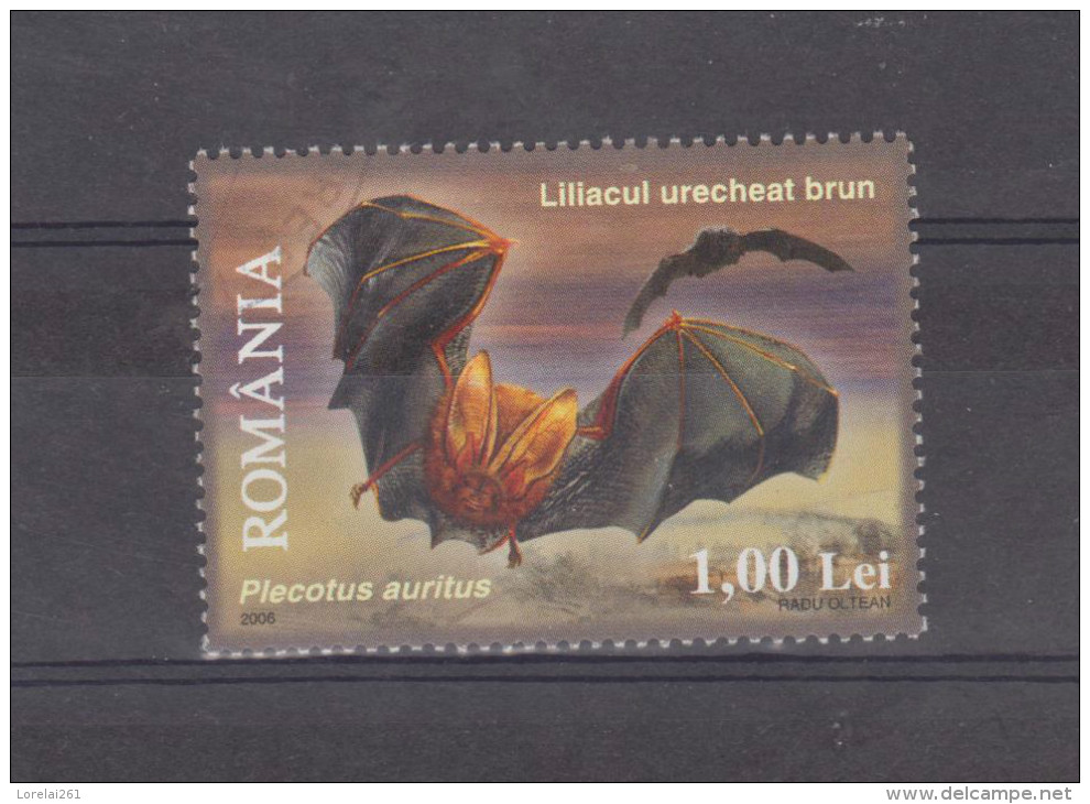2006  - LILAS  Mi No 6107  Liliacul Urecheat Brun - Oblitérés