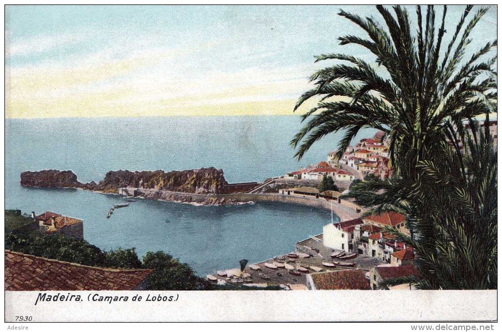 MADEIRA (Camara De Lobos), Um 1900 - Madeira