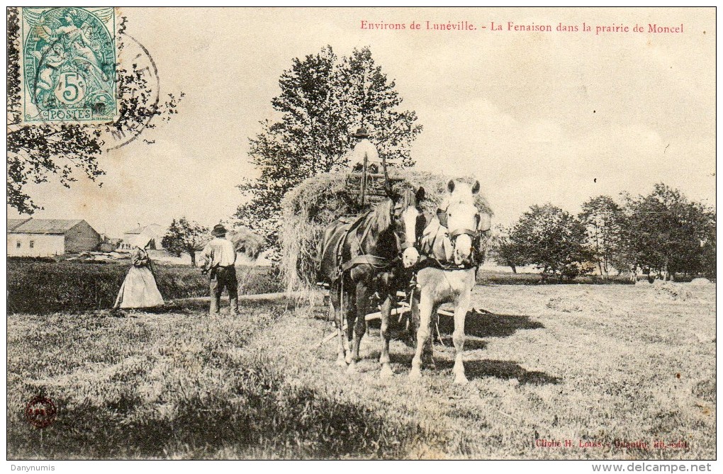 54  Environs De LUNEVILLE La Fenaison Dans La Prairie De MONCEL - Other & Unclassified