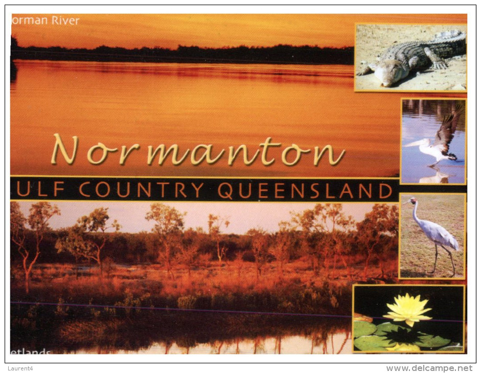 (PH 200) Australia - QLD - Normanton Wetland - Far North Queensland