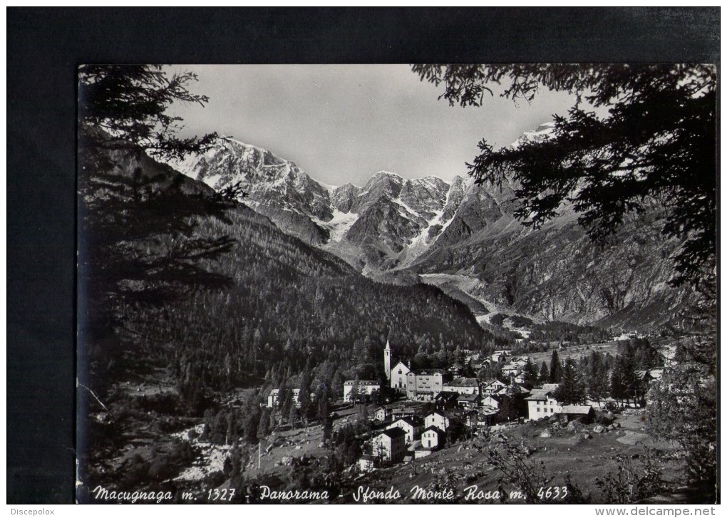 N846 MACUGNAGA ( VERBANIA ) PANORAMA CON SFONDO MONTE ROSA - USED 1959 - VERA FOTOGRAFIA FOTOCELERE 637 FOTOEDIZIONI G. - Verbania